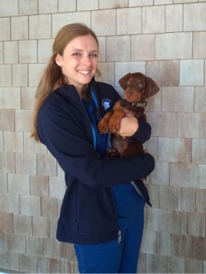 Amanda Bourne-Landkammer